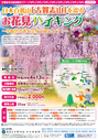 ４月１３日　お花見ハイキング
