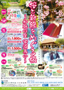 ４月１９日　桜と新緑をめぐる旅