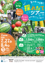 ８月４日　採れたてツアー