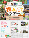 １０月１７日　採れたてツアー　花と農産物 清南大地 食の祭典