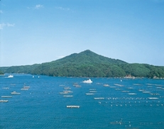 6月10日（土）～6月11日（日）三陸うまいもの旅