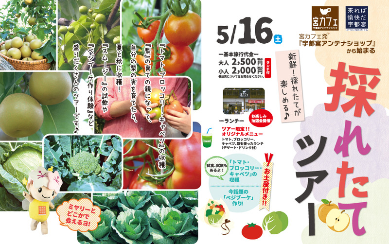 宇都宮アンテナショップ「宮カフェ」発!採れたてツアー