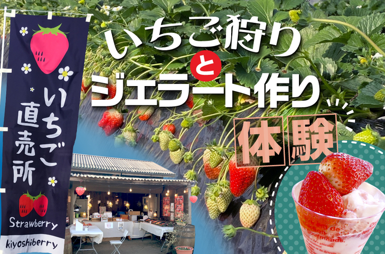 【収穫体験プラン】 いちご狩りとジェラートづくり 第2弾 《3月11日~3月31日》