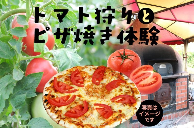 【収穫体験プラン】 トマト狩りと石窯でピザ焼き体験 《6月下旬~7月》
