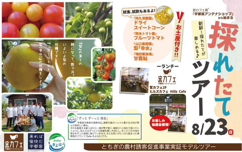 8月23日(日)新鮮!採れたてが楽しめる♪採れたてツアー
