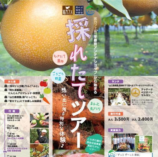 11月7日(土)新鮮!採れたてが楽しめる♪採れたてツアー