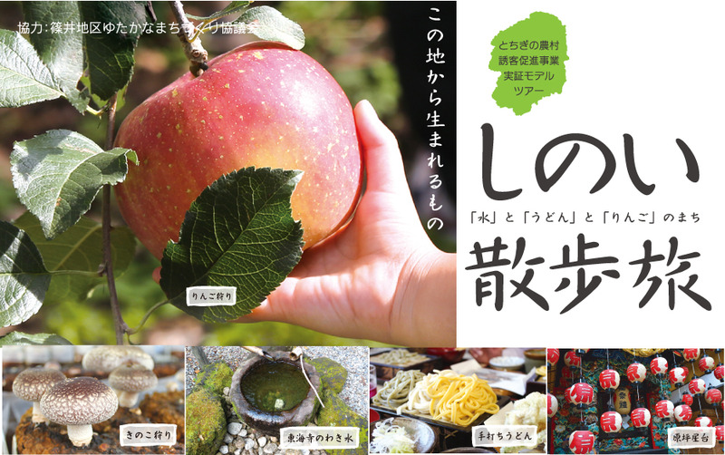 11月21日(土)しのい散歩旅