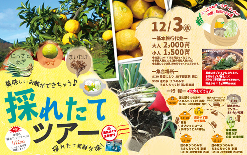 今だけ&ここだけ♪採れたてツアー