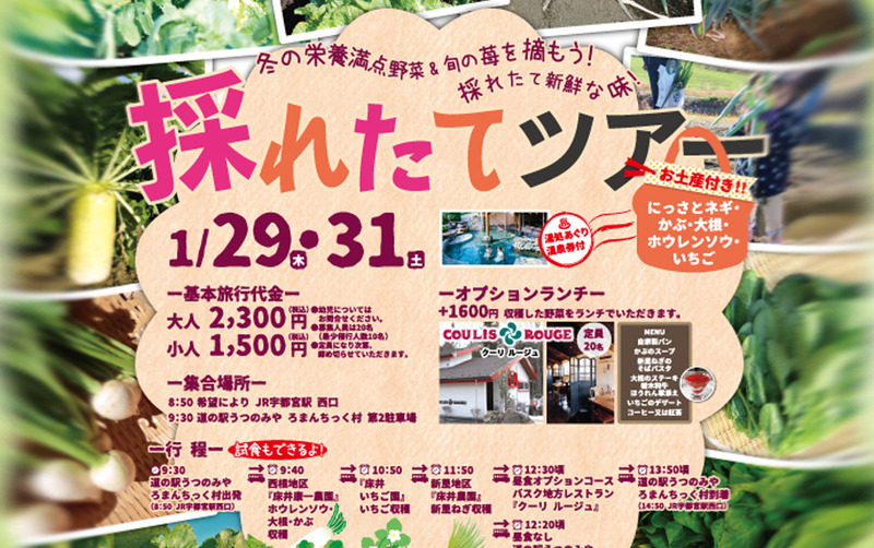 1月29・31日 旬の味覚を楽しむ♪採れたてツアー