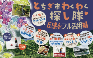 とちぎ市わくわく探し隊　～パークタワー晴海発着プラン～