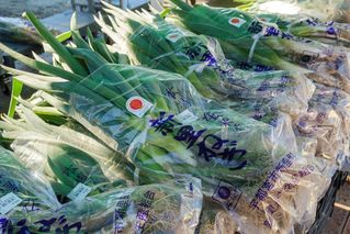 全国からねぎ好きが集う「新里ねぎまつり」満喫ツアー～イベントをより充実させる参加者特典付きプラン～