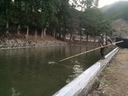 日光の岩清水を引き込みます