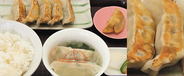 A variety of gyoza