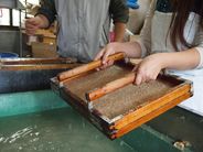 野州麻紙の技術