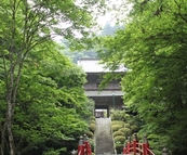 雲巌寺　～うんがんじ～　　から名前をもらった和紅茶