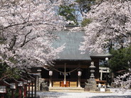 『鷲宮神社』の御朱印は、四季折々の花印がかわいい！のですが、今回は「ツアー限定」の御朱印ですよ♪（画像はイメージ）
