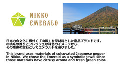 NIKKO EMERALD (山椒ビールの商品化)